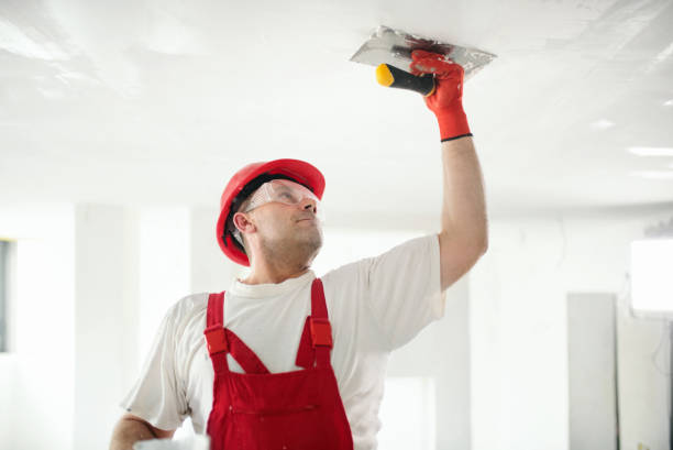 Best Drywall Installation  in Russell, KY